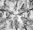 Beyond the North Woods