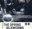 The Spring Silkworms