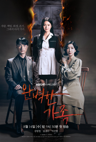 Poster 1 de Série Perfect Family (2024)