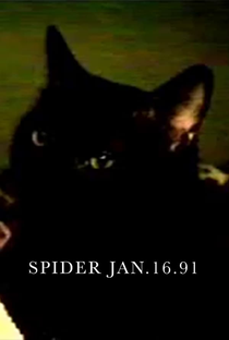 Spider Jan.16.91 - Poster / Capa / Cartaz - Oficial 1