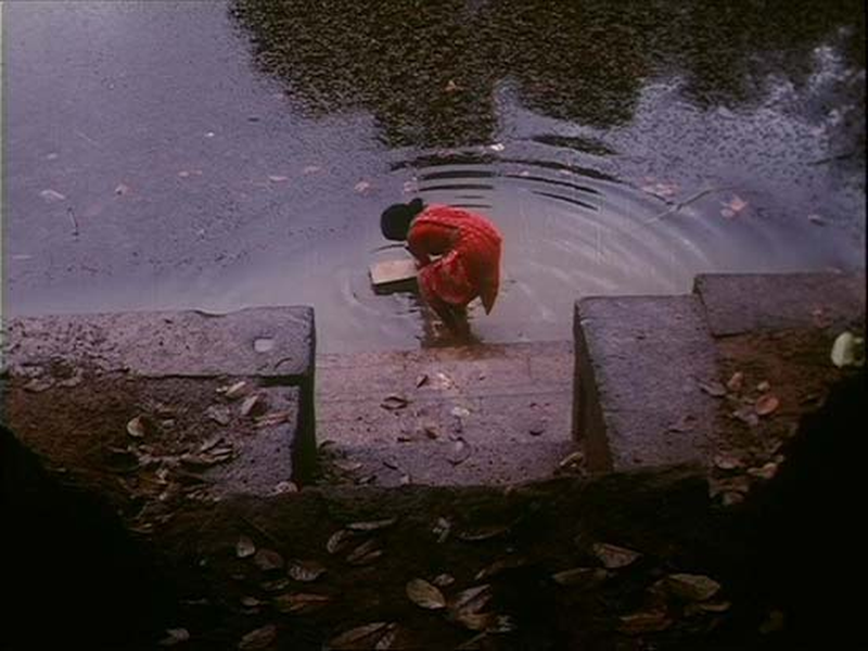 Foto 2 de A Ratoeira