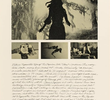 Notes on the Popular Arts