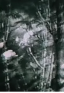 El devenir de las piedras (El devenir de las piedras)