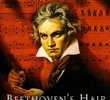 O Segredo do Cabelo de Beethoven