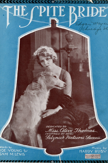 Poster de Filme The Spite Bride (1919)