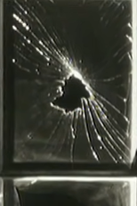 Bauhaus: She's In Parties (Bauhaus: She's In Parties)