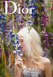 Dior Addict Fragrance (Dior Addict Fragrance)