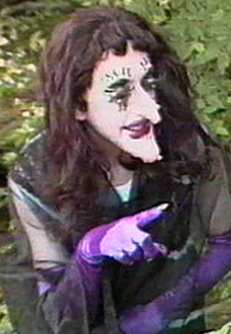 The Fairies (The Fairies)