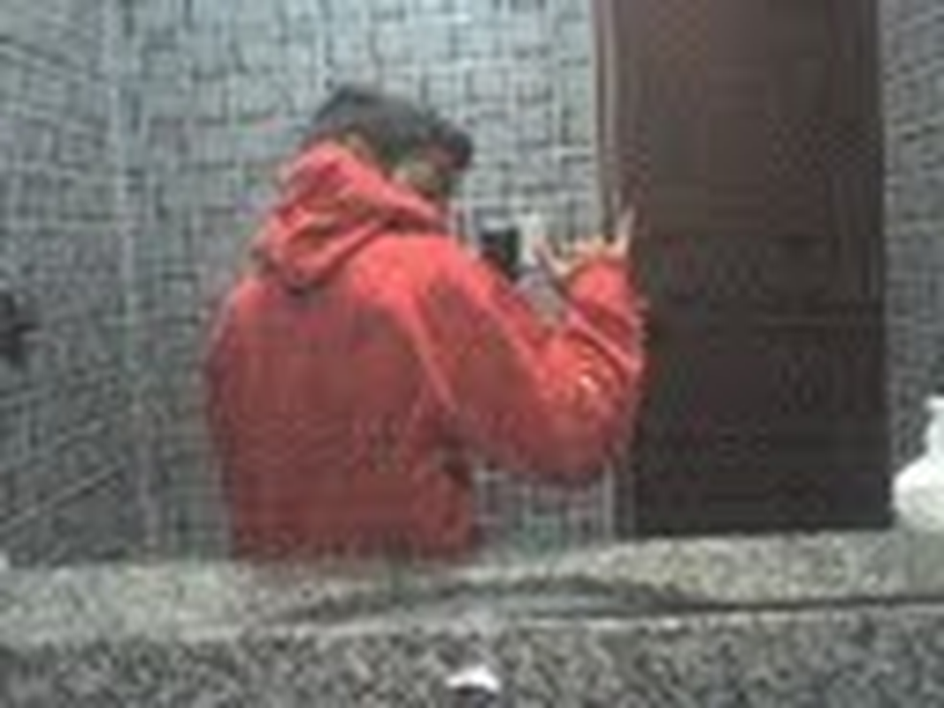 Lucas Lins - Foto 1