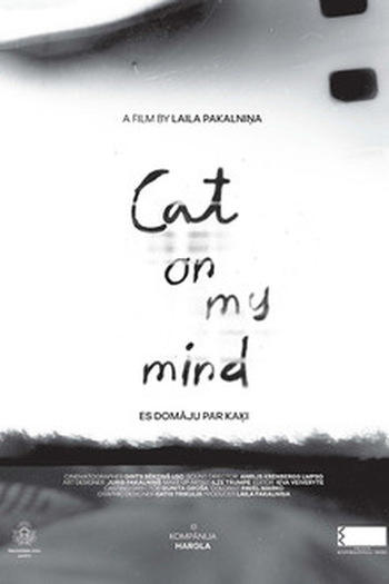 Poster de Filme Gato na cabeça (2025)