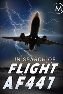 Voo AF447: A Investigação do Desastre - Poster / Capa / Cartaz - Oficial 1