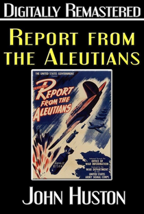 Segunda Guerra Mundial: Relatório das Ilhas Aleutas - Poster / Capa / Cartaz - Oficial 4