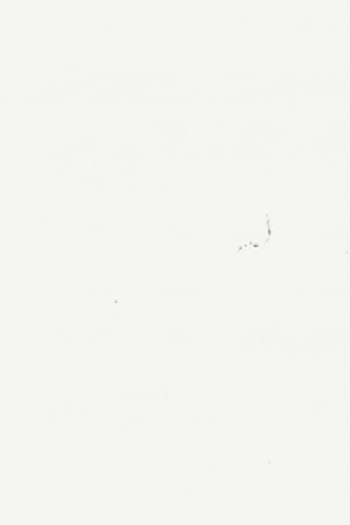 Poster de Curta Entr’acte / Interlude (1980)