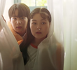 6회