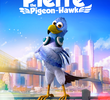Pierre the Pigeon-Hawk