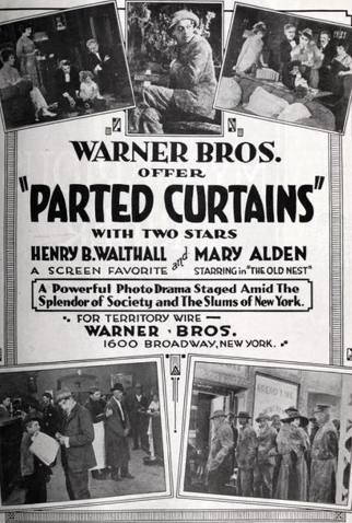 Poster 1 de Filme A Cortina Rasgada (1920)