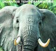 Discovery Channel - Imponentes Elefantes Gigantes