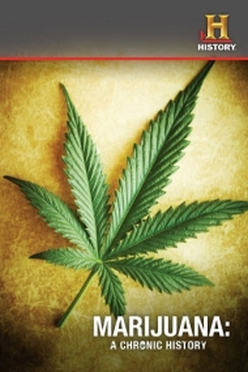 Poster de Filme A História da Maconha (2010)