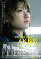 Documentary of AKB48: No Flower Without Rain (Documentary of AKB48 No flower without rain 少女たちは涙の後に何を見る？)