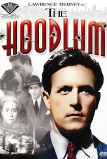 The Hoodlum - Poster / Capa / Cartaz - Oficial 2