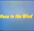 Nose to the Wind