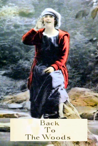 Poster 1 de Filme Colhida na Cilada (1918)