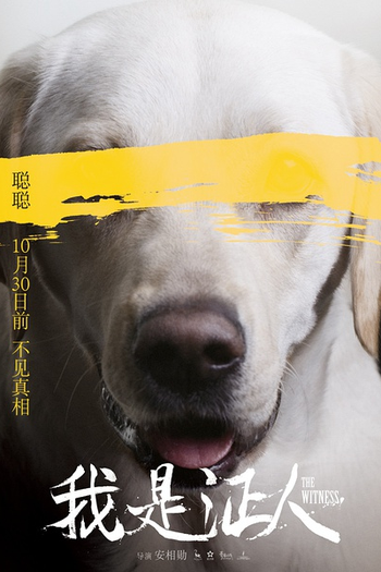  de Filme The Witness (2015)