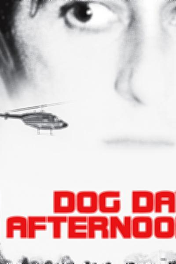  de Filme Um Dia de Cão (1975)