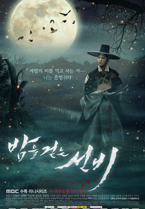 Scholar Who Walks the Night (Bameul Geotneun Sunbi)