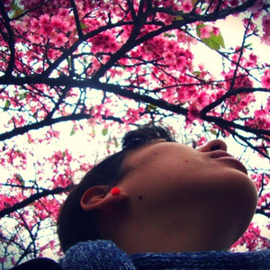 Foto de perfil de Carol Andrade