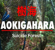 Aokigahara - A Floresta dos Suicidas