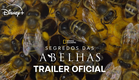 Segredos das Abelhas| Trailer Oficial | National Geographic