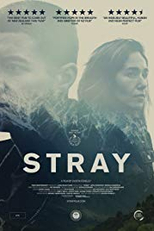 Stray (Stray)