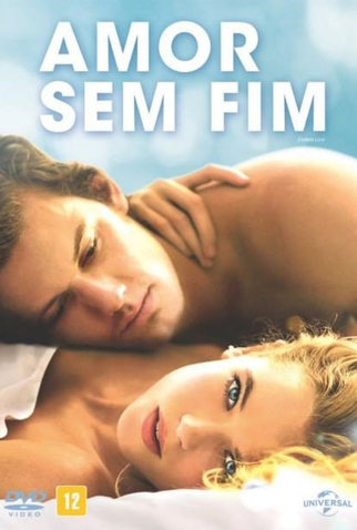 Poster 4 de Filme Amor Sem Fim (2014)