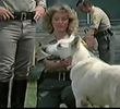 K-9-1