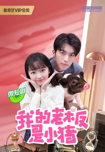 My Piggy Boss (我的老板是小猪)