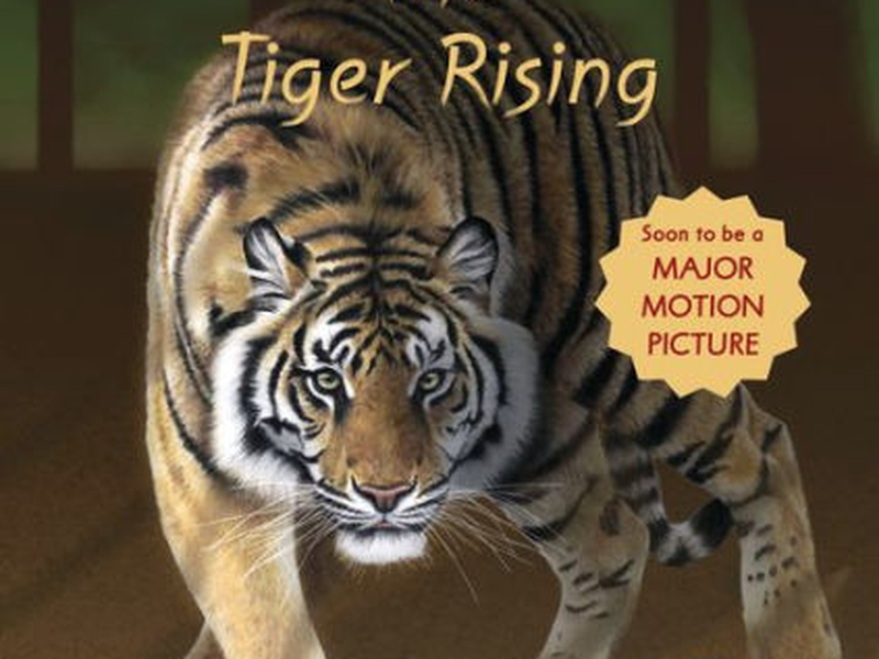 Foto 1 de O Despertar do Tigre