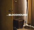 The Bloodhound