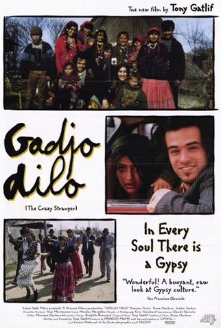 Poster 1 de Filme O Estrangeiro Louco (1997)