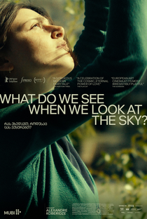 O que Vemos Quando Olhamos para o Céu? - Poster / Capa / Cartaz - Oficial 1