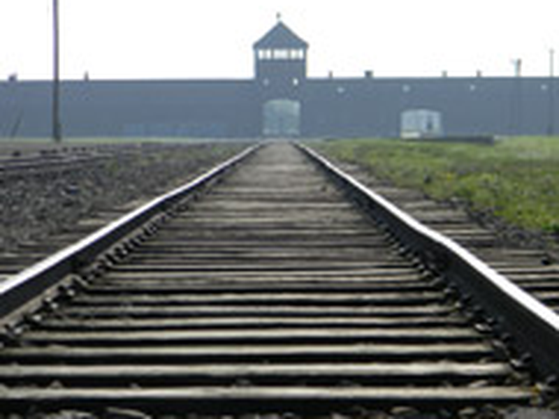 Foto 1 de Holocausto: Execução do Mal