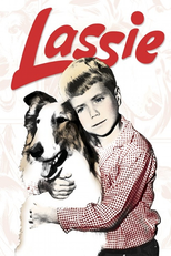 Lassie (Lassie)