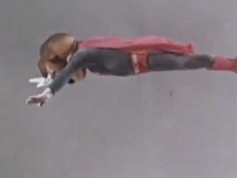 Foto 3 de As Aventuras do Supercão