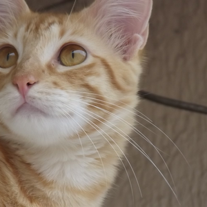 Foto de perfil de Claudia