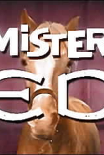 Mister Ed - Poster / Capa / Cartaz - Oficial 1