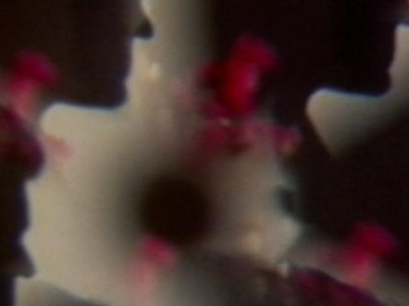 Foto 1 de Sombras chinesas