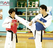 Do You Know Taekwondo?