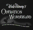 Operation Wonderland