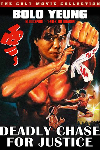 Poster de Filme Deadly Chase for Justice (1977)