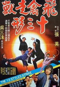 The 13 Styles Strike (Fei qin zou shou shi san xing)